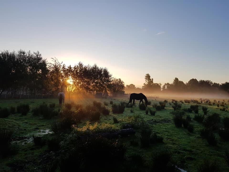 Pipowagens Bij Pannenkoekenrestaurant & Camping De Koppenjan 'Een Uniek Verblijf Met Kinderspeelboerderij' Jubbega-Schurega Zewnętrze zdjęcie