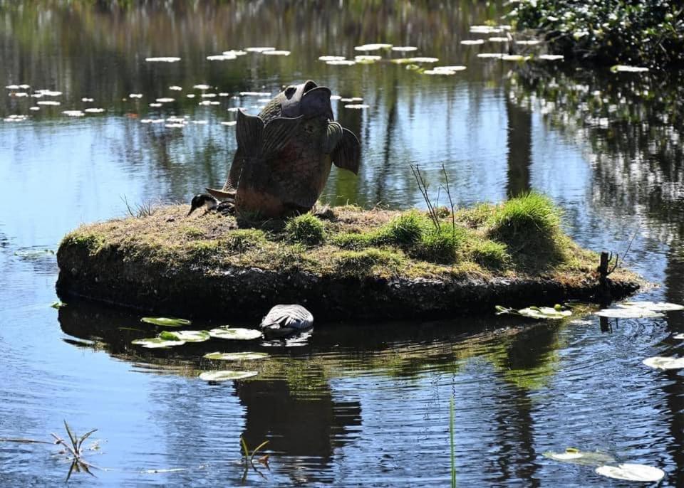 Pipowagens Bij Pannenkoekenrestaurant & Camping De Koppenjan 'Een Uniek Verblijf Met Kinderspeelboerderij' Jubbega-Schurega Zewnętrze zdjęcie