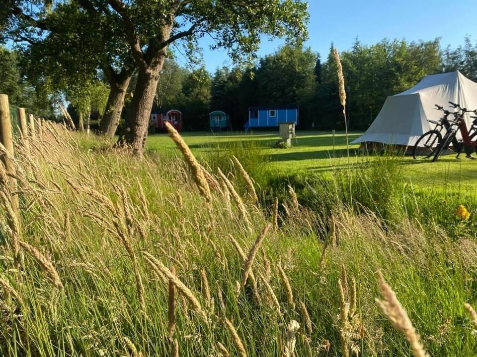 Pipowagens Bij Pannenkoekenrestaurant & Camping De Koppenjan 'Een Uniek Verblijf Met Kinderspeelboerderij' Jubbega-Schurega Zewnętrze zdjęcie